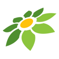 LINK RANSBET